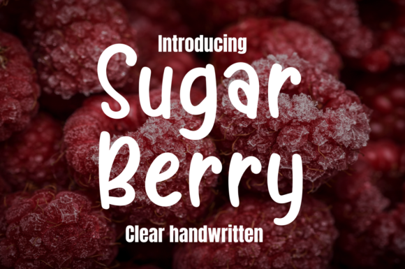 How Sugar Berry Font Adds Polished Personality to Your Brand